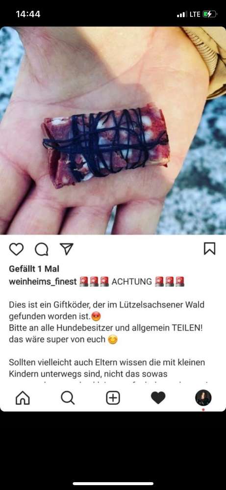 Giftköder-Giftköder-Profilbild
