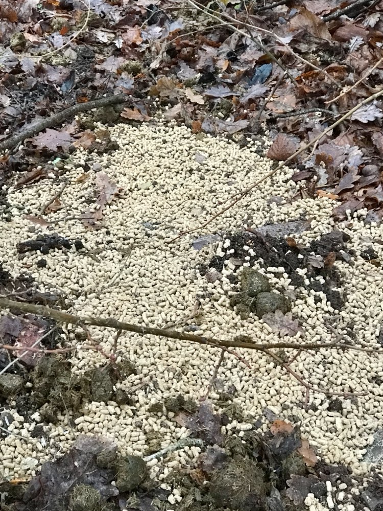 Giftköder-Giftköderverdacht-Profilbild