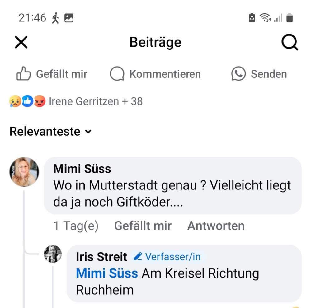 Giftköder-Giftköder-Profilbild