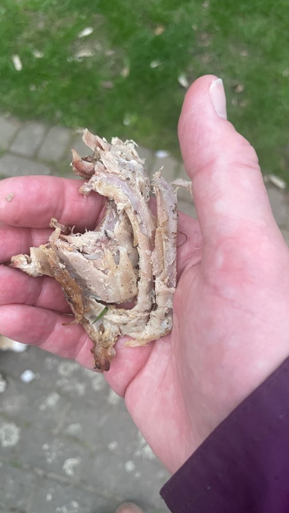 Giftköder-Knochen im Mülldorfer Park-Profilbild