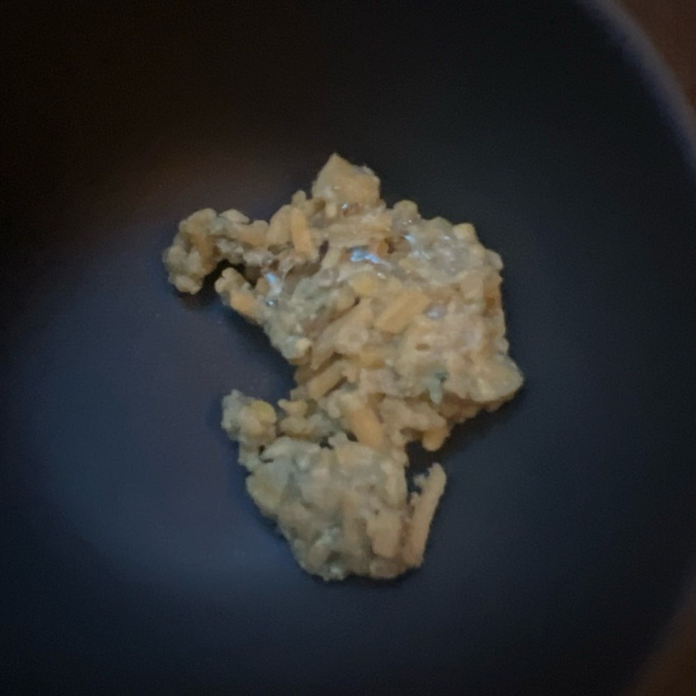 Giftköder-Giftköder-Profilbild