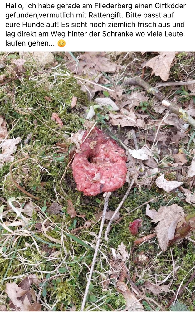 Giftköder-Giftköder an der Schranke gesichtet-Profilbild