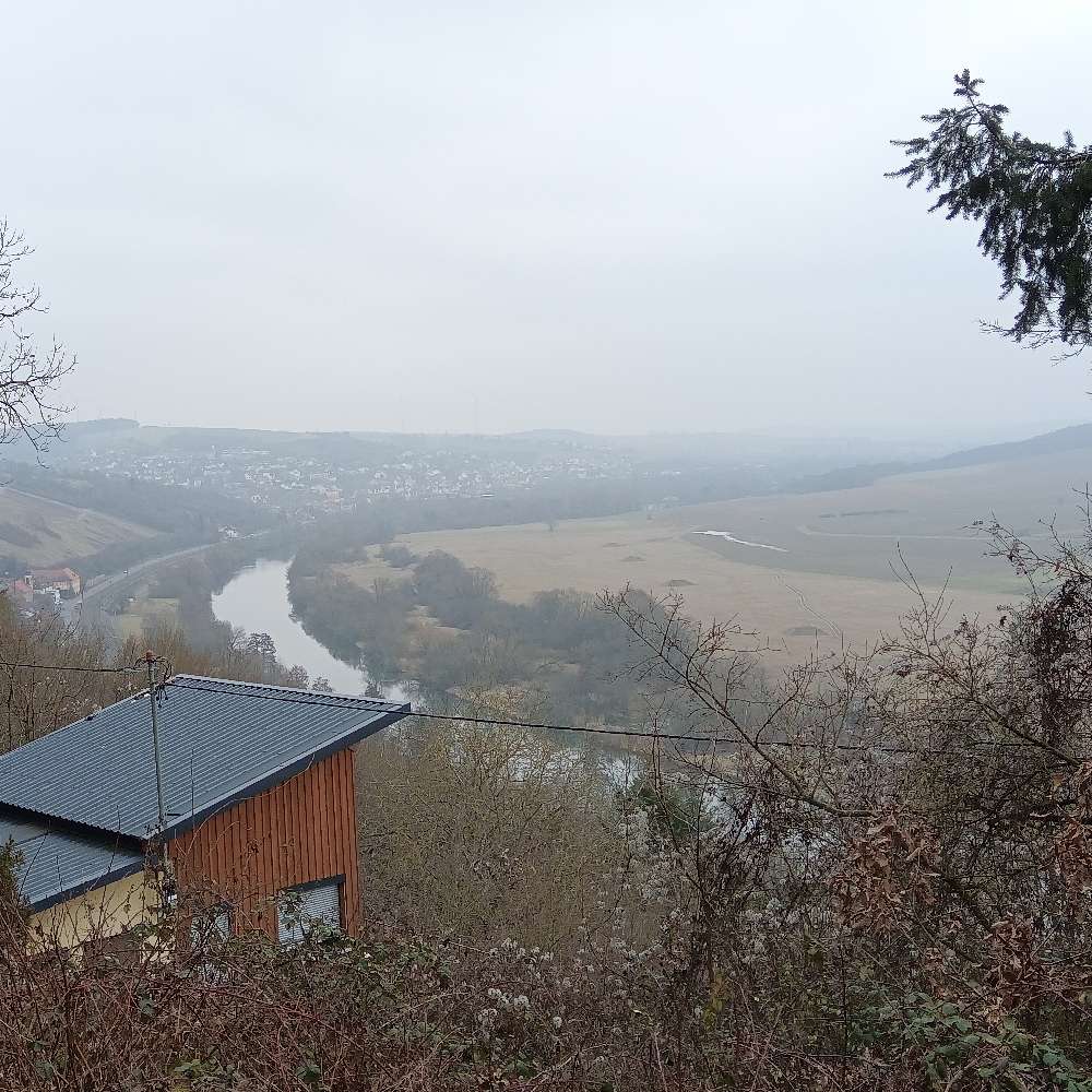 Hundetreffen-Kleine Runde Am Mainufer-Profilbild