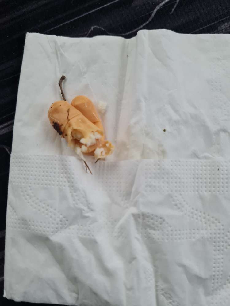 Giftköder-Medikamenten Kapseln-Profilbild