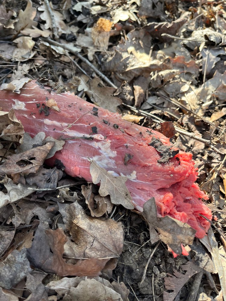 Giftköder-3 große rohe Schweinfilet evtl mit Gift-Profilbild