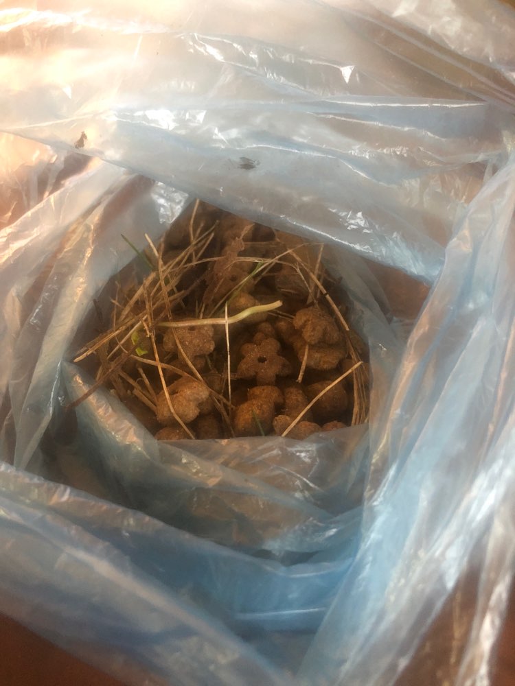 Giftköder-Vermutlich Giftköder
Leckerlies gefunden-Profilbild