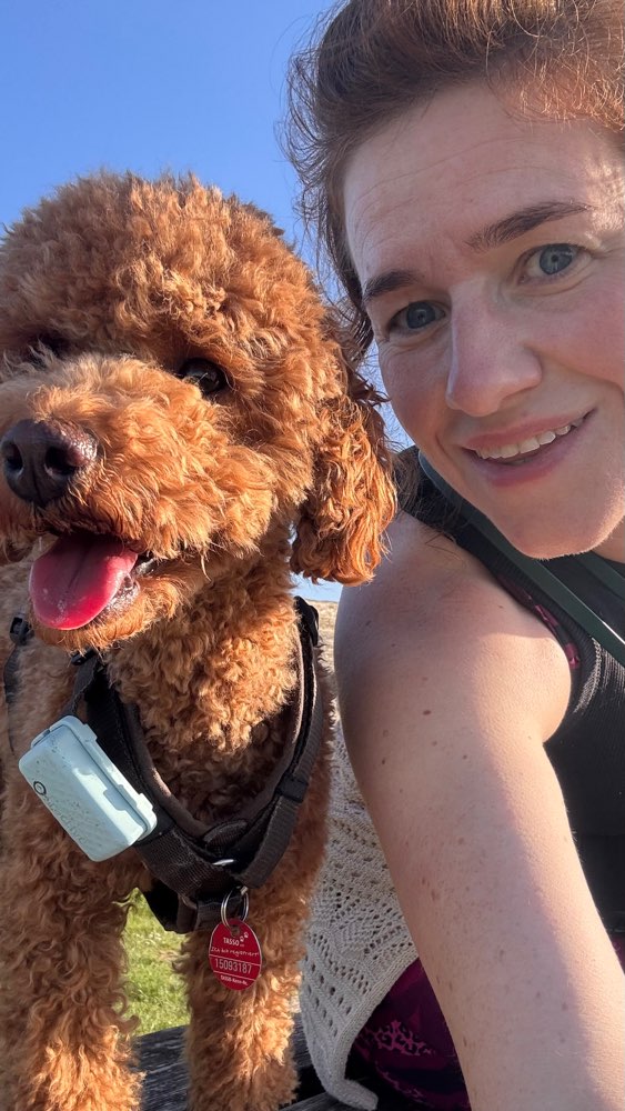 Hundetreffen-Wandern mit Hunden in Willingen-Profilbild