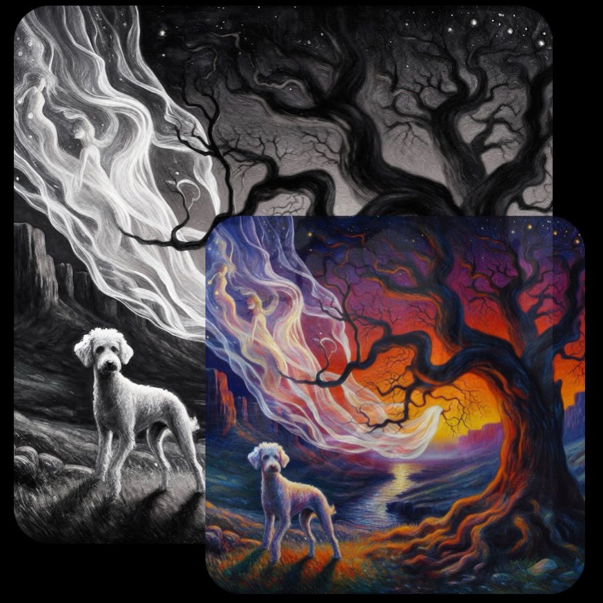 16. KI-Wettbewerb: Dasselbe Bild in Farbe und Schwarzweiß Banner