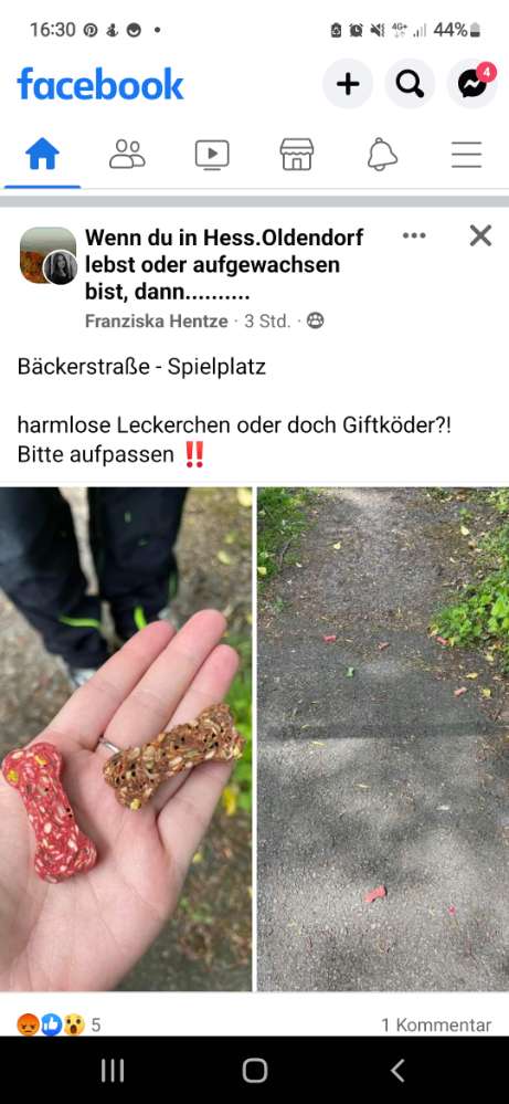 Giftköder-Möglicher Giftköder-Profilbild