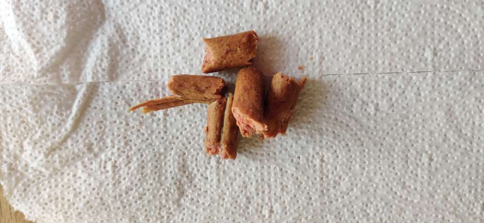 Giftköder-Hundeleckerli-Profilbild