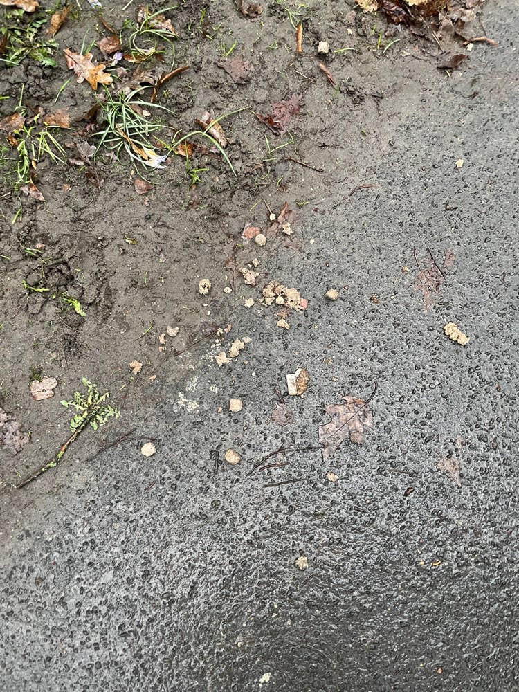 Giftköder-Bröckchen Trockenfutter oder Fleisch-Profilbild