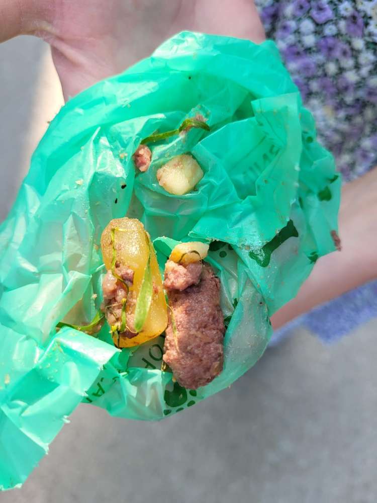 Giftköder-Giftköder Menterschwaige-Profilbild