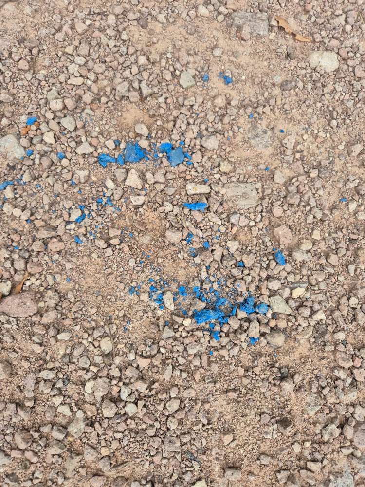 Giftköder-Giftköder, Stausee, Alzey-Profilbild