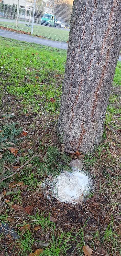 Giftköder-Weißes Pulver an mehreren Stellen-Profilbild