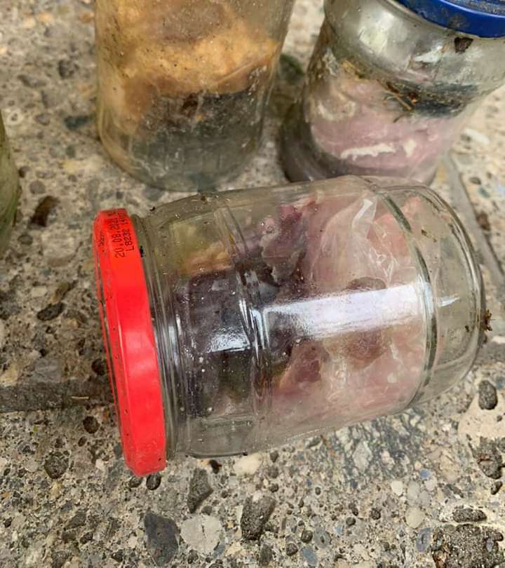 Giftköder-Giftköder in Obenstrohe-Profilbild