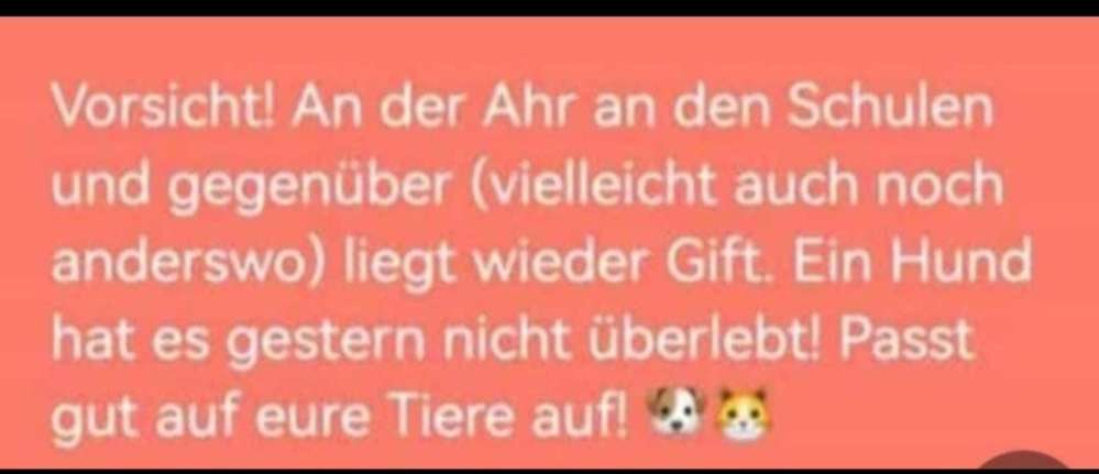Giftköder-Giftköder-Profilbild