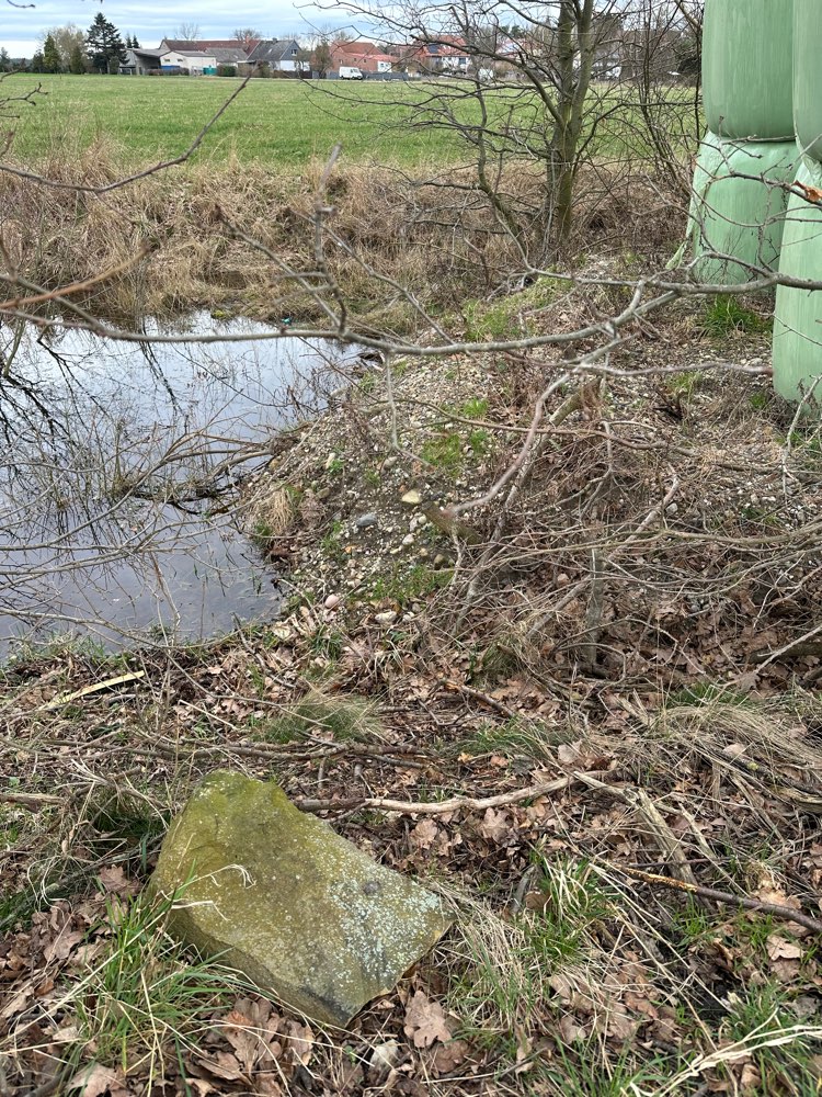 Giftköder-Rehbein-Profilbild