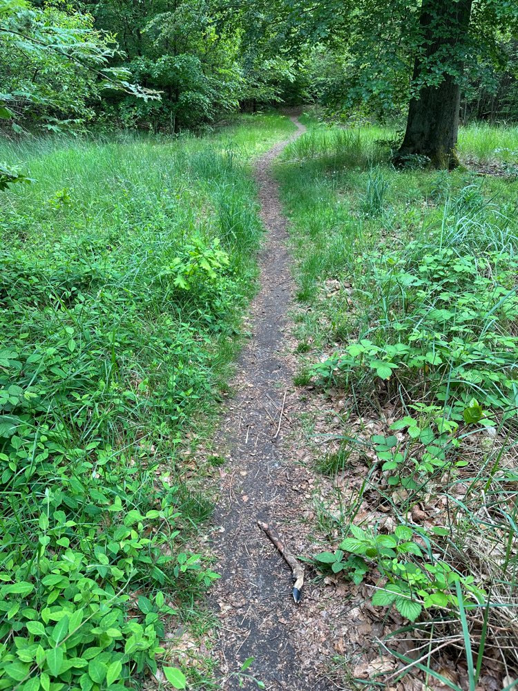 Giftköder-Rehbein-Profilbild