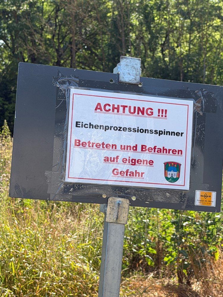 Giftköder-Eichenprozessionsspinner-Profilbild