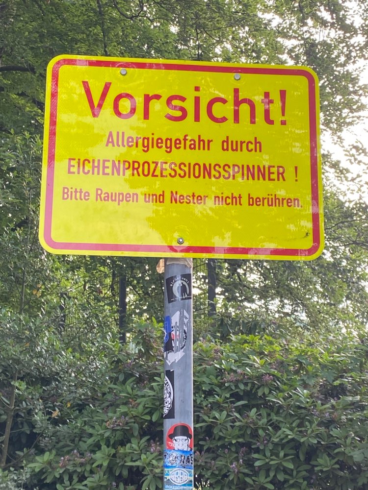 Giftköder-Eichenprozessionsspinner-Profilbild