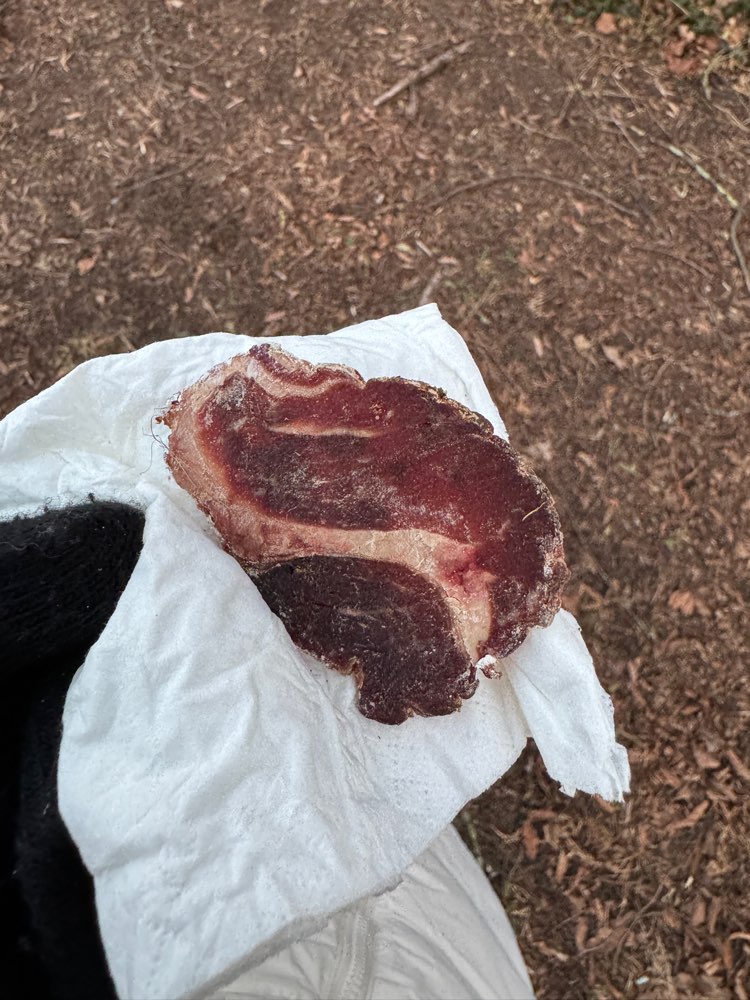 Giftköder-Mehrere Wurstscheiben-Profilbild