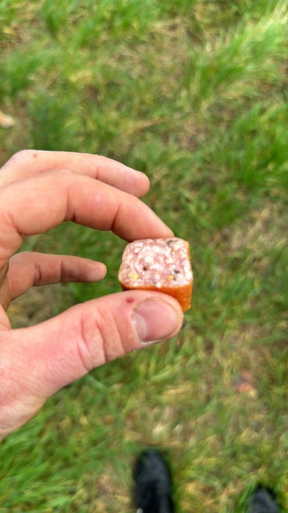 Giftköder-Nadeln in der Mettwurst-Profilbild