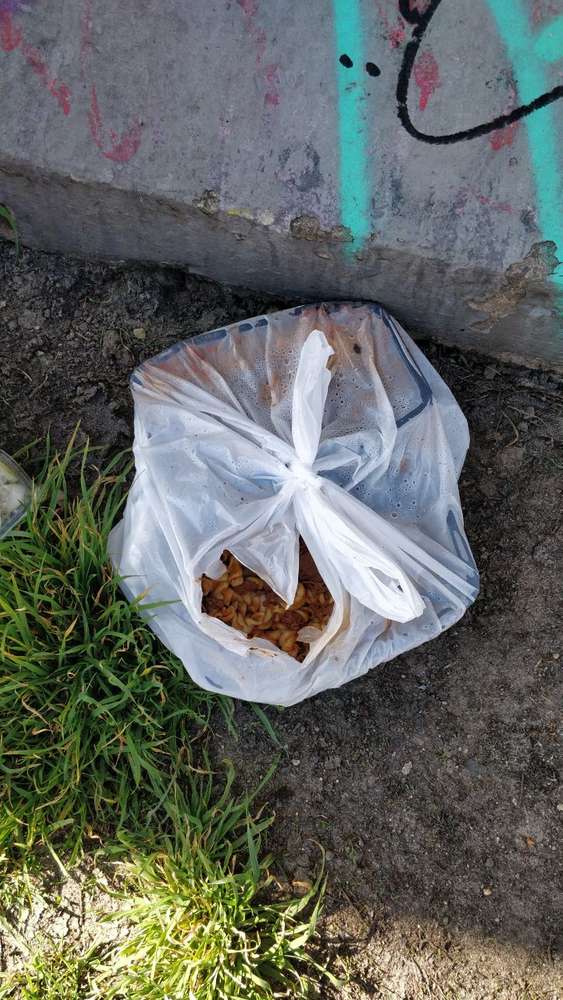 Giftköder-Pasta mit Fleisch-Profilbild