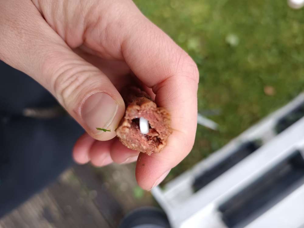 Giftköder-Giftköder-Profilbild