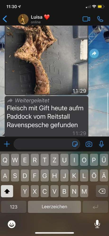 Giftköder-Fleisch mit Gift-Profilbild