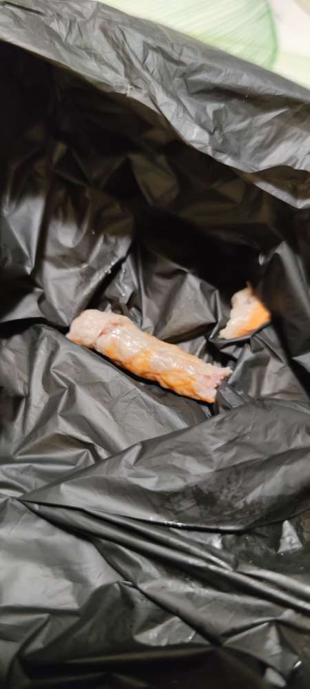 Giftköder-Verdächtiges Fleischstück-Profilbild