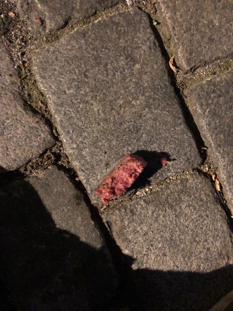 Giftköder-Nassfutter im Gras-Profilbild