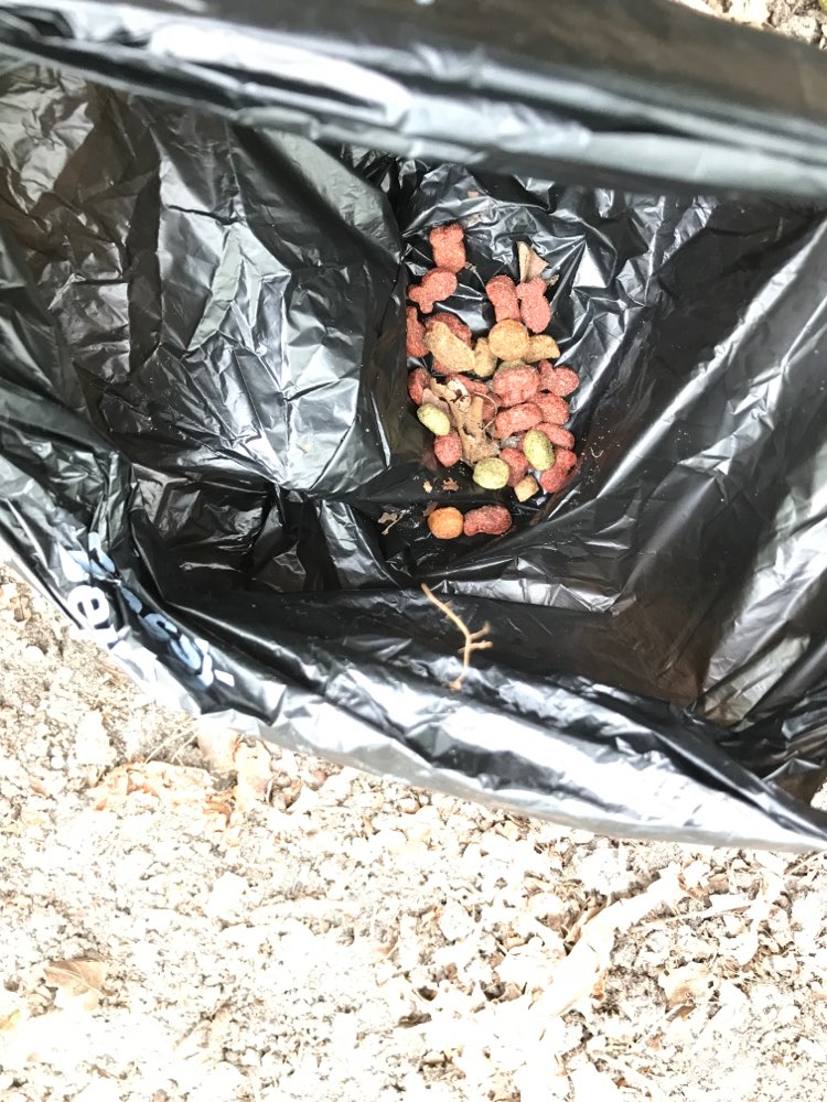 Giftköder-Leckerli unter Laub-Profilbild