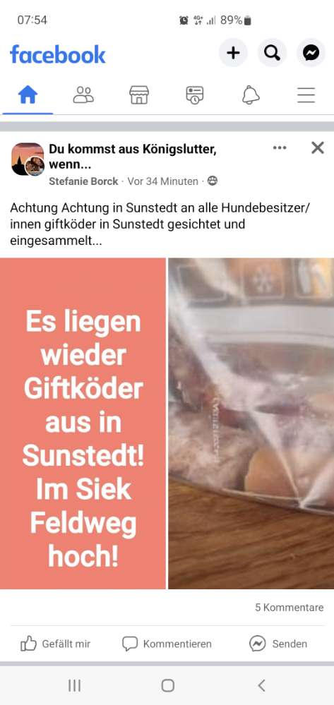 Giftköder-Giftköder gesichert in Sundstedt-Profilbild