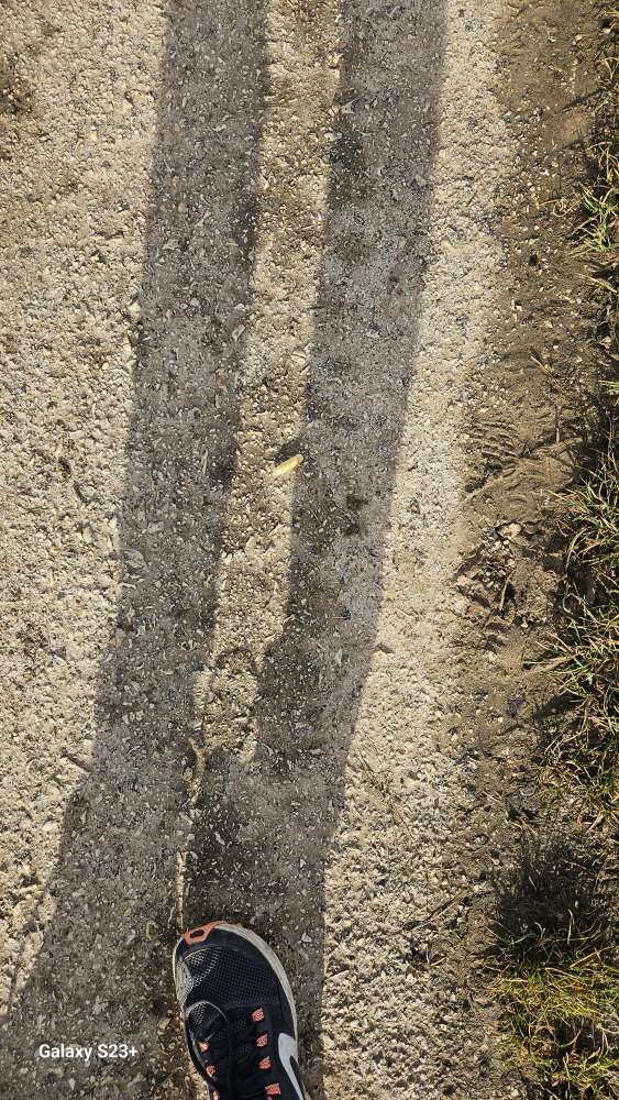 Giftköder-ACHTUNG GIFTKÖDER??????-Profilbild