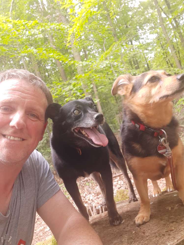 Hundetreffen-Spielgassi Treff-Profilbild