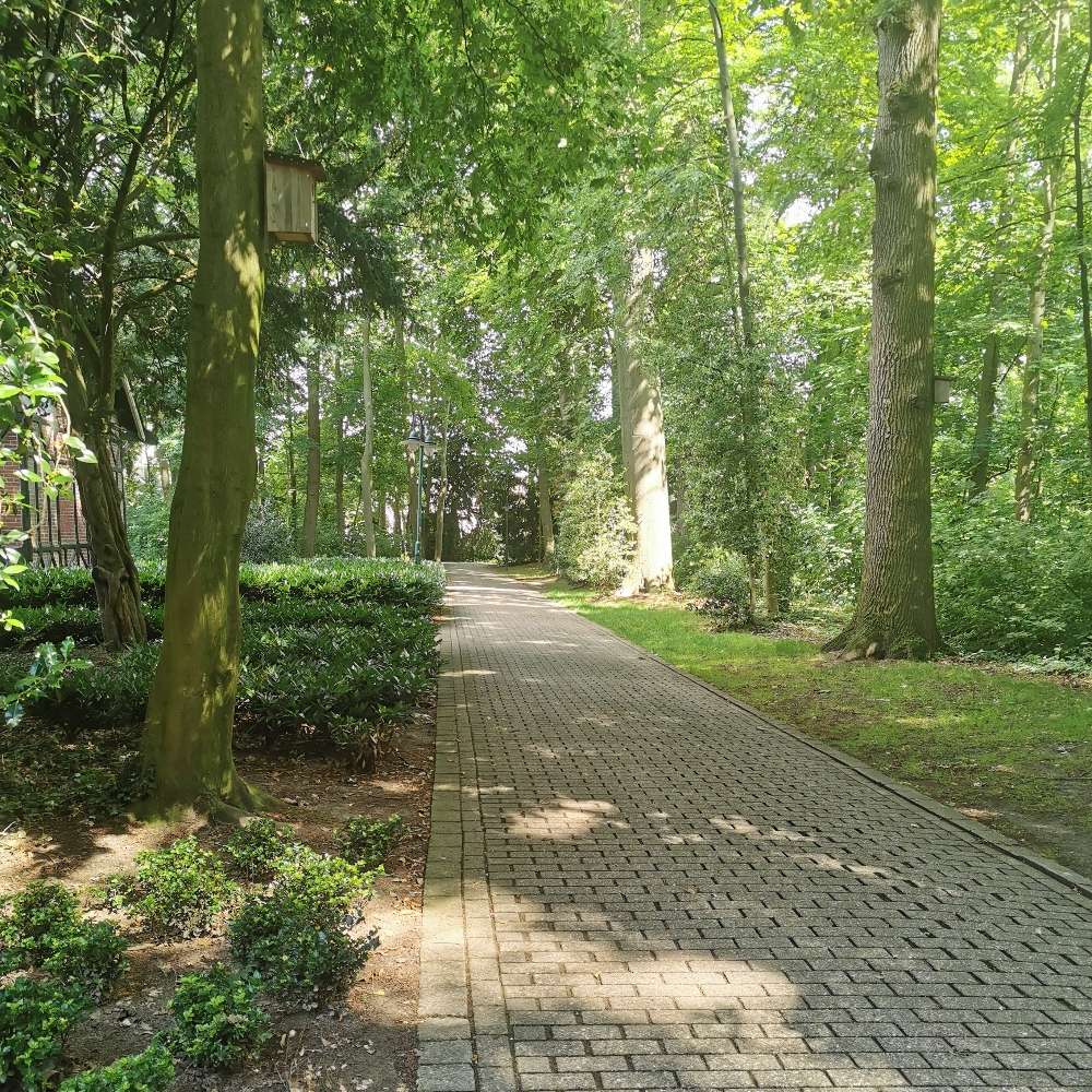 Hundetreffen-Spaziergang-Profilbild