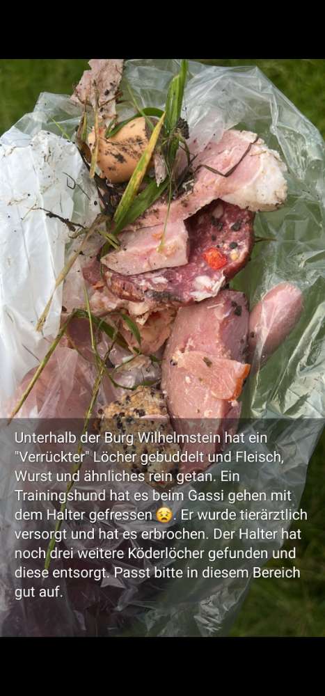 Giftköder-Löcher mit Wurst- und Fleischköder-Profilbild