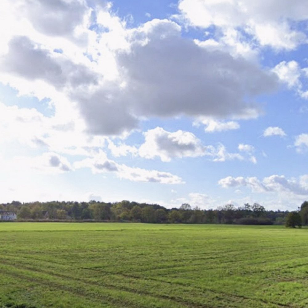 Hundetreffen-Gemeinsam spielen, gemeinsam wachsen-Profilbild