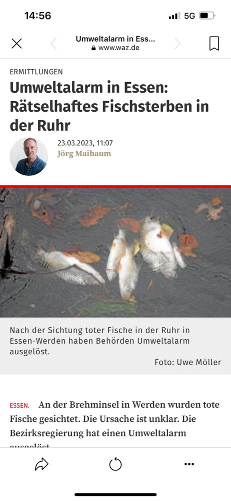 Giftköder-Tote Fische-Profilbild