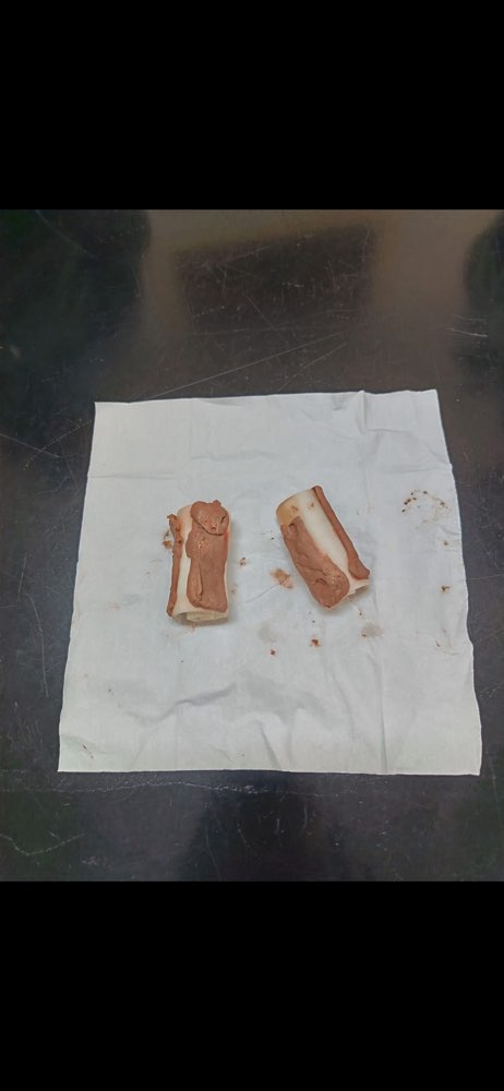 Giftköder-Giftköder-Profilbild