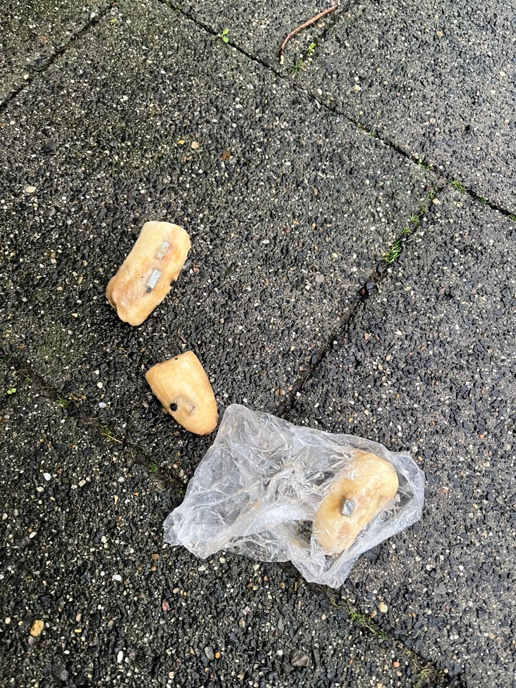 Giftköder-Köder mit scharfen Gegenständen-Profilbild