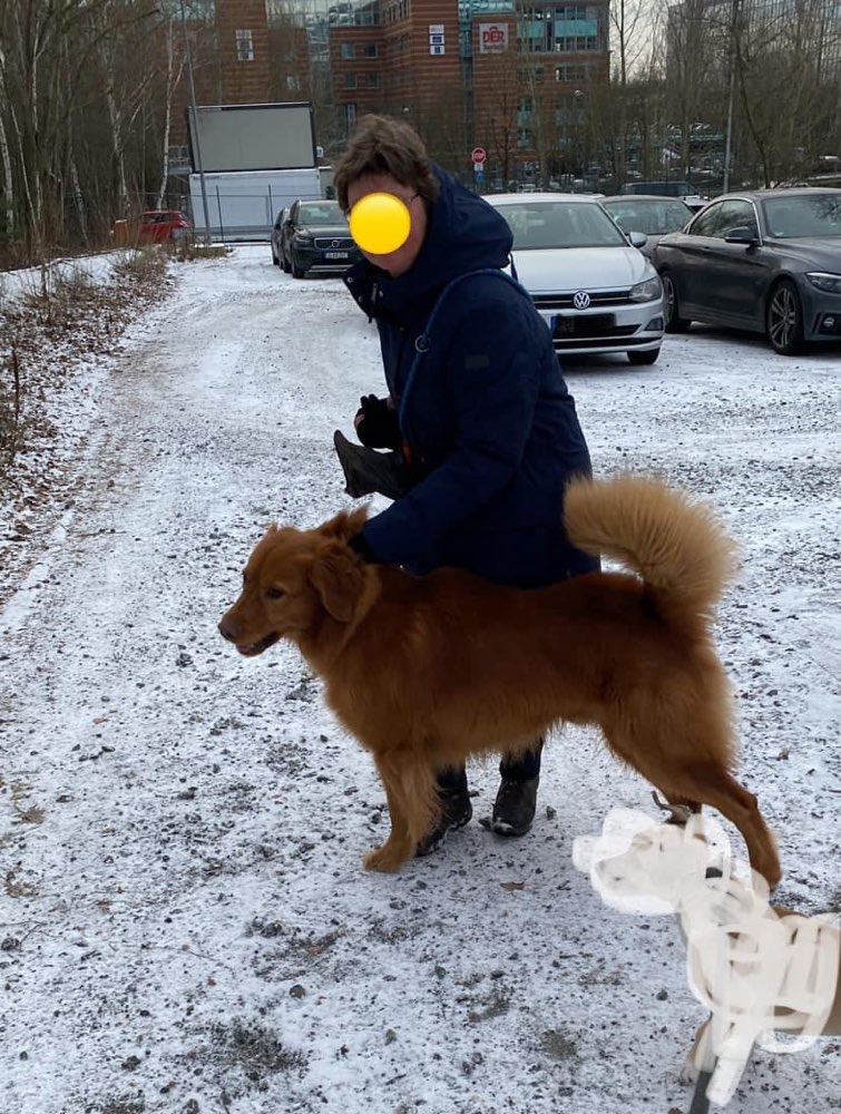 Giftköder-Bissiger Hund Nähe Campus Riedberg-Profilbild