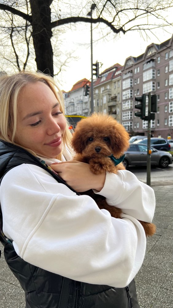 Hundetreffen-Welpentreffen im Tiergarten-Profilbild