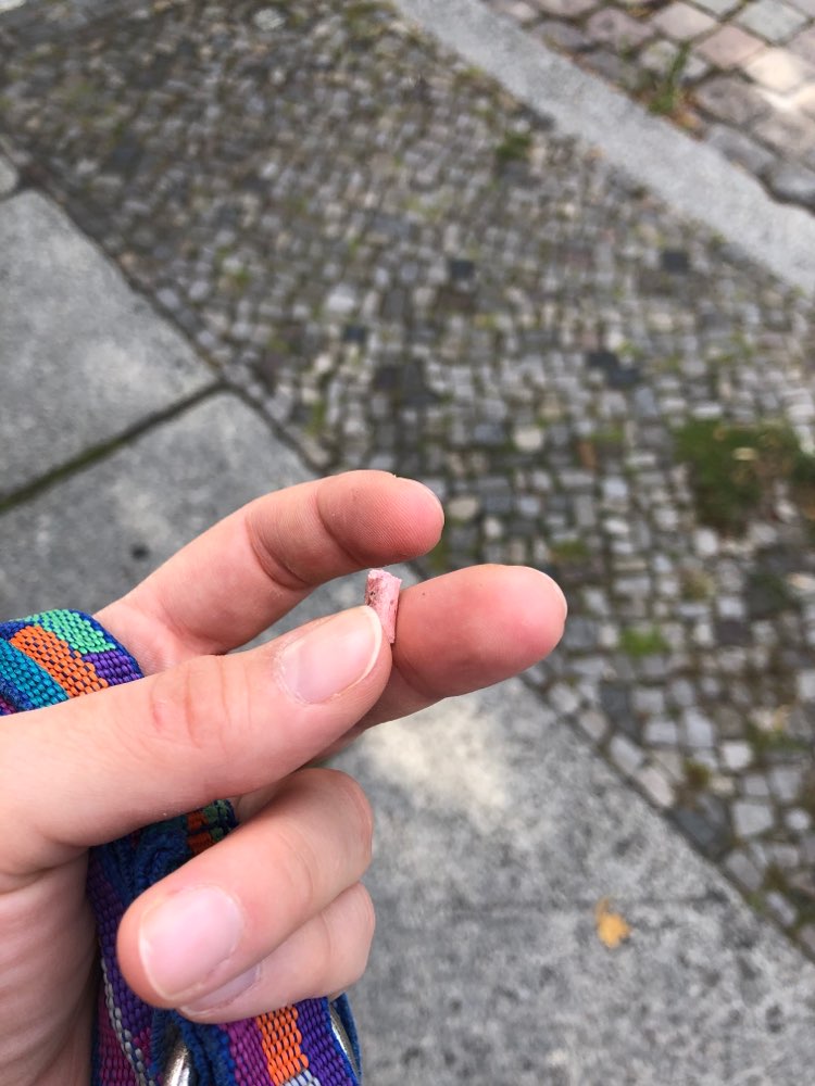 Giftköder-Giftköder -Rattengift mit Trockenfleisch-Profilbild