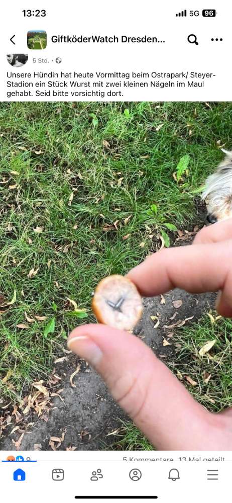 Giftköder-Giftköder mit Nägeln-Profilbild