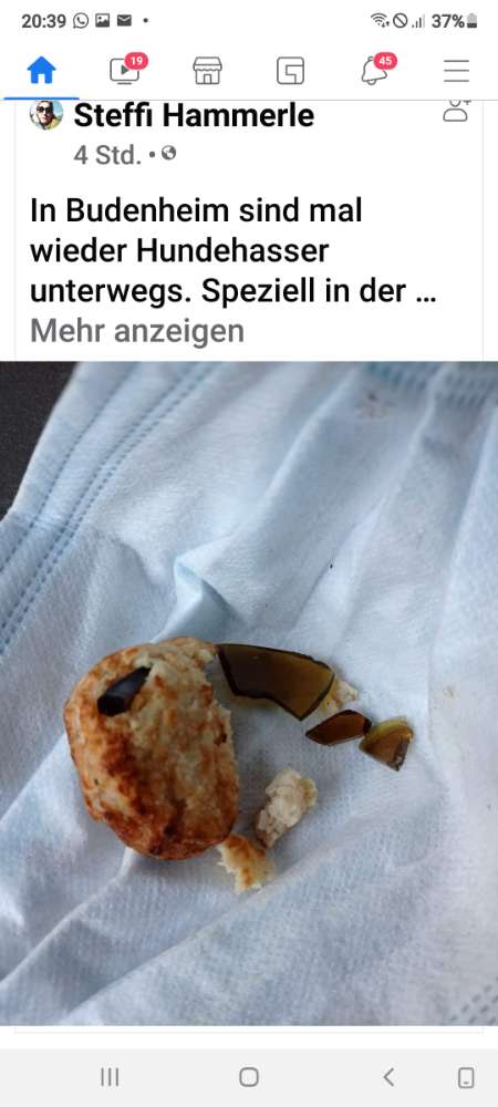 Giftköder-Glasscherben in Frikadellen-Profilbild