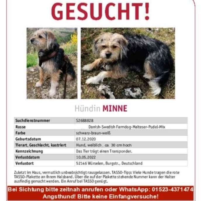 Suchmeldung-Minne-Profilbild