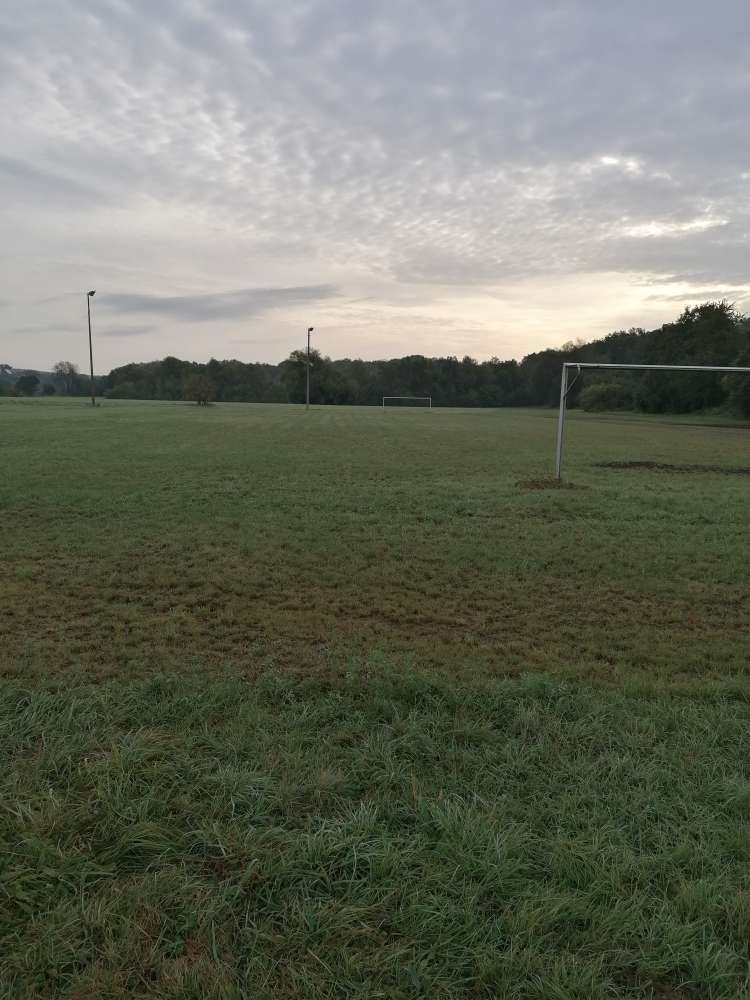 Giftköder-Blaukorn-Profilbild