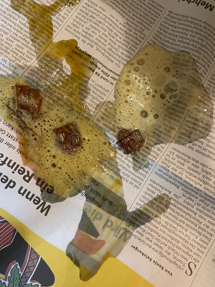 Giftköder-Möglicherweise Gift-Profilbild