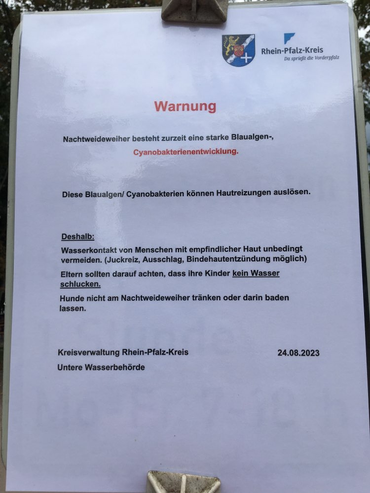 Giftköder-Blaualgen am Lambsheimer Weiher-Profilbild
